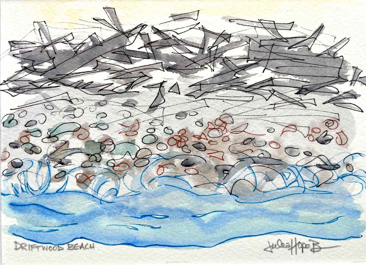 Driftwood Beach by Julea Hope Boswell 