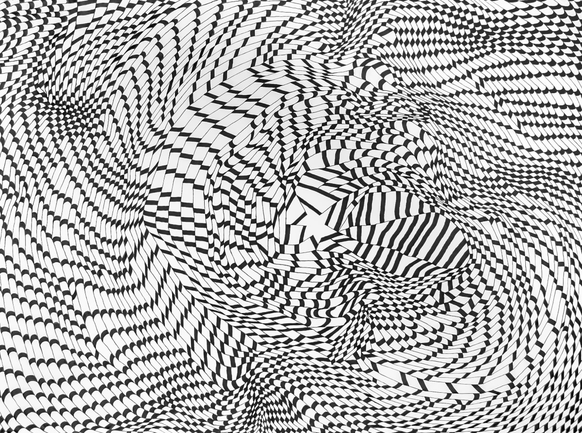 Checkmarks 3 by Dana Piazza, Image 1.