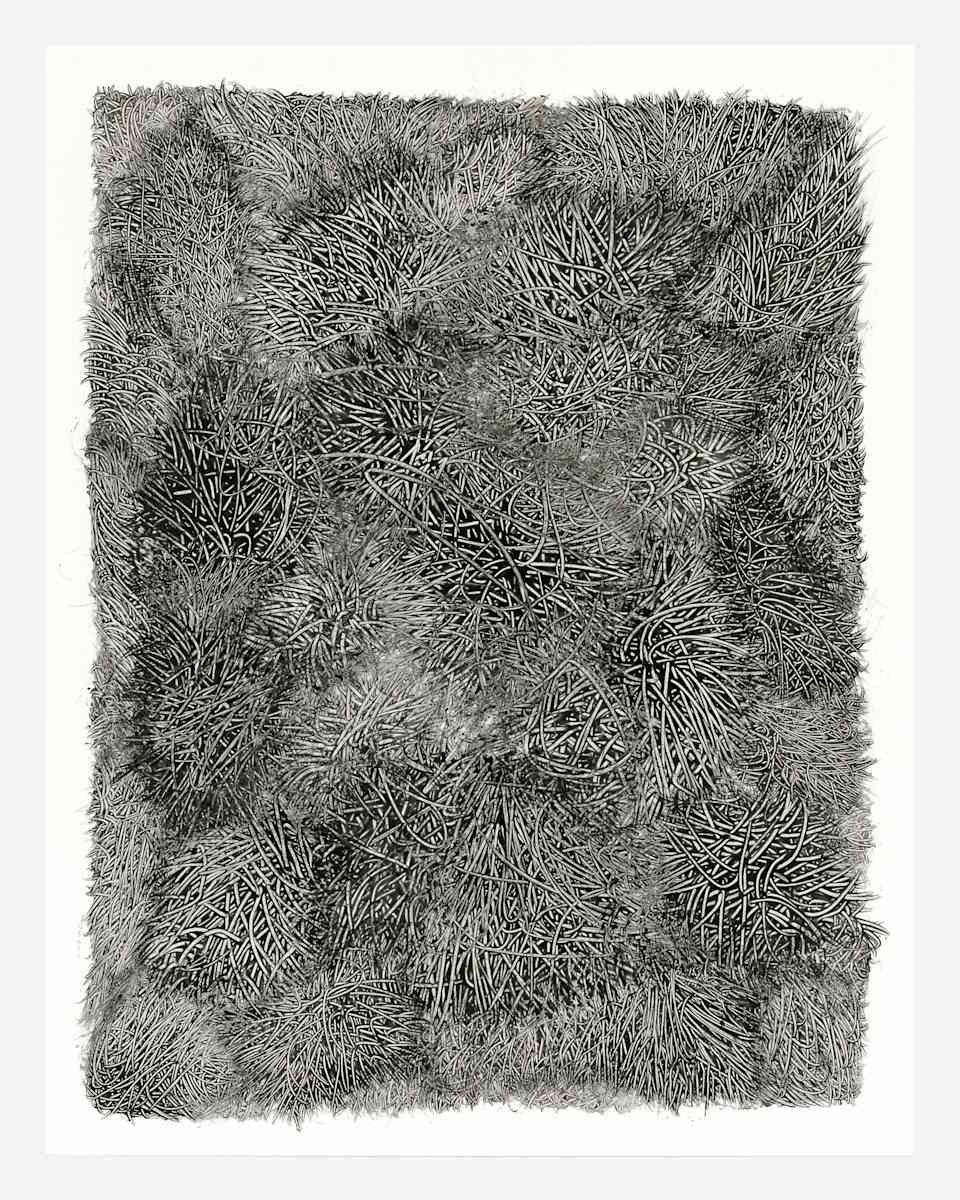 Fibers 1 by Dana Piazza, Image 3.