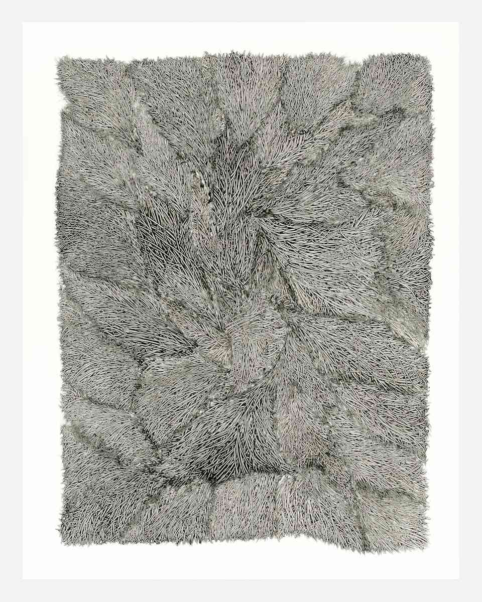 Fibers 2 by Dana Piazza, Image 1.