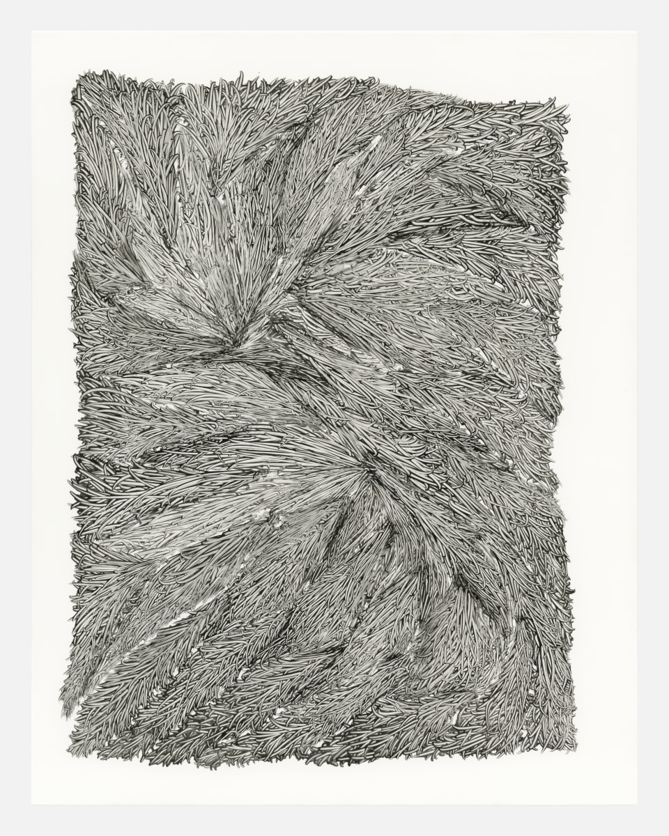 Fibers 6 by Dana Piazza 