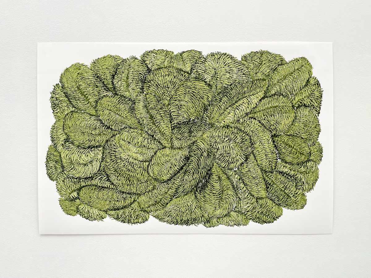 Fibers 23, Image 3.