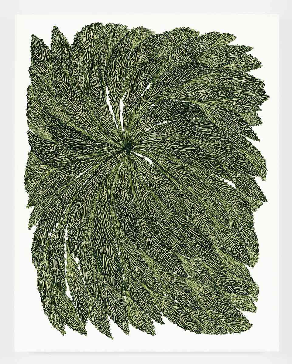 Fibers 28, Image 1.