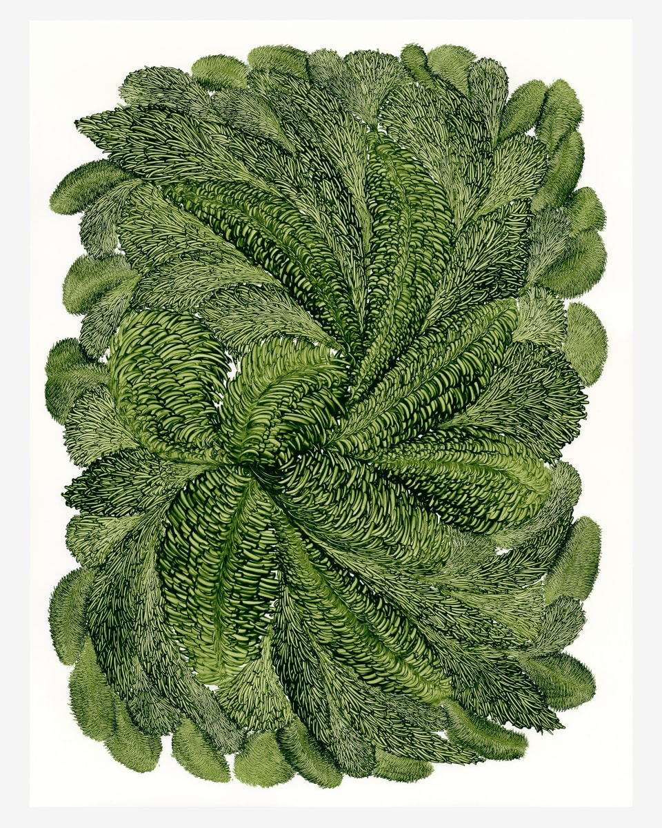 Fibers 29 by Dana Piazza 