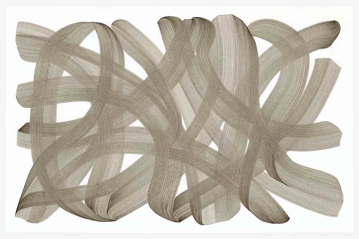 Lines 16, Image 1.