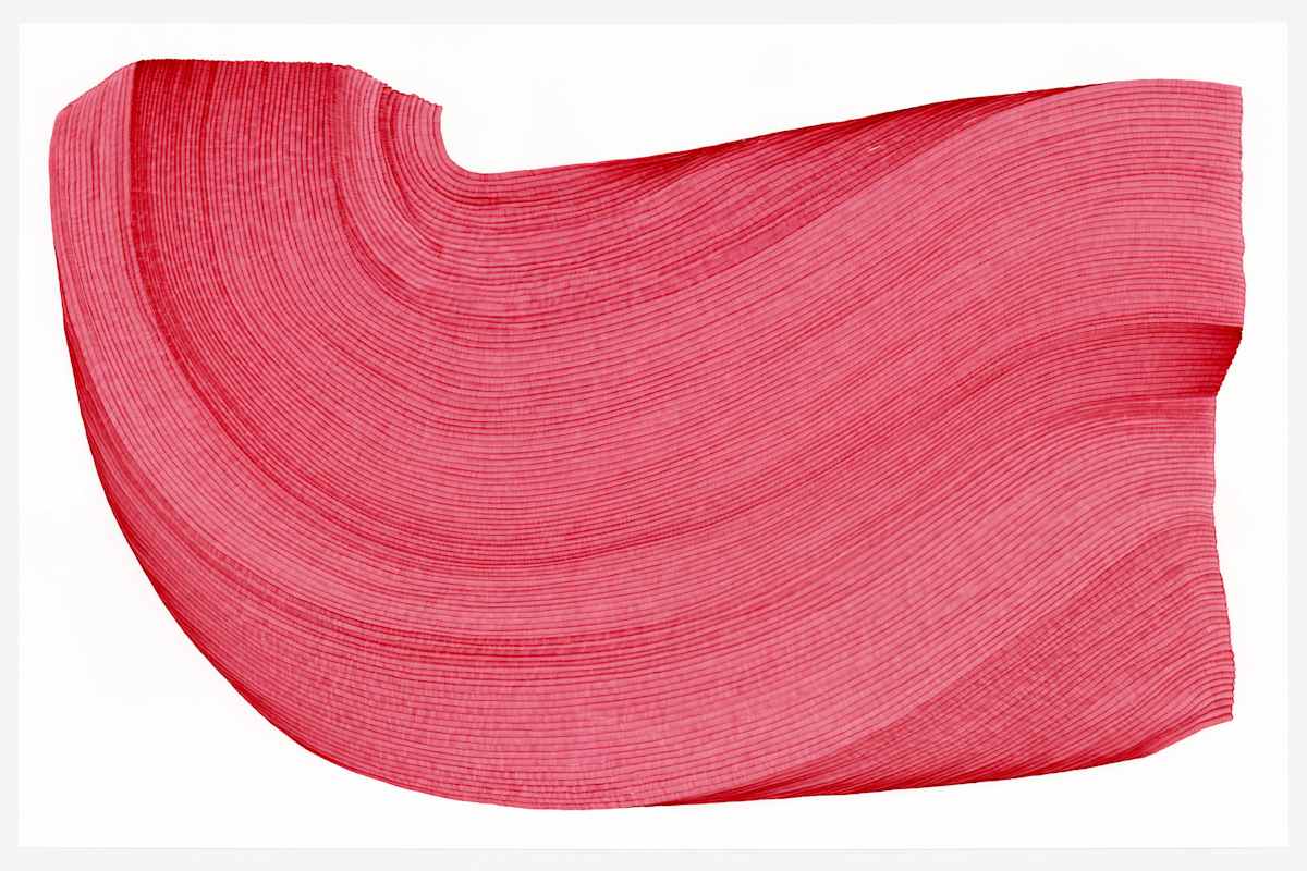 Lines 21 by Dana Piazza, Image 4.