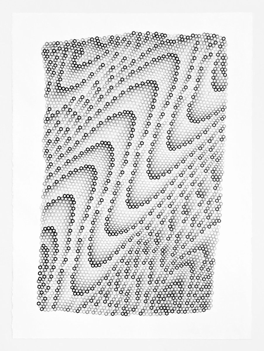 Hexagons 5 by Dana Piazza 