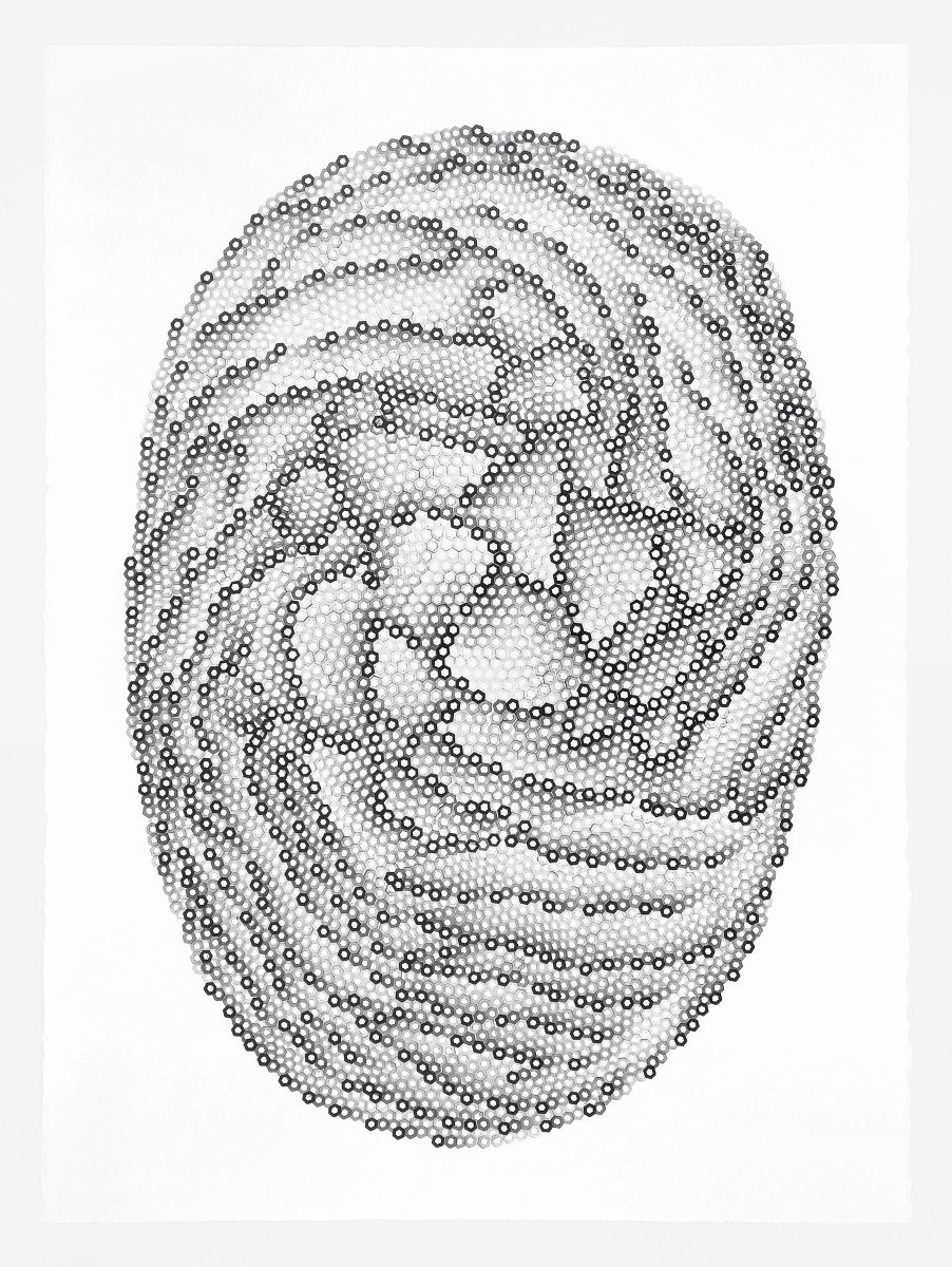 Hexagons 6 by Dana Piazza 