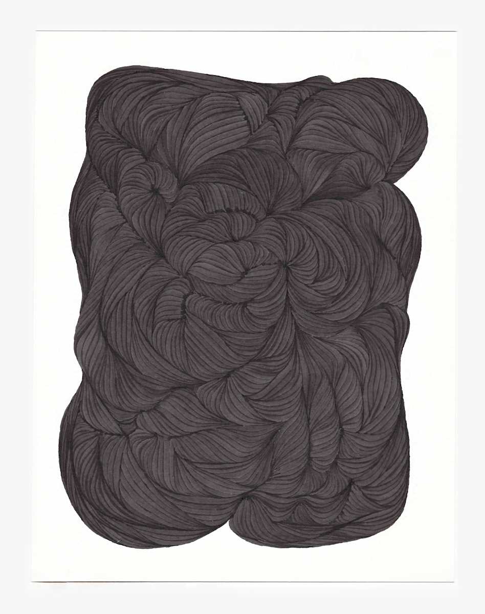Lines 2 by Dana Piazza, Image 3.