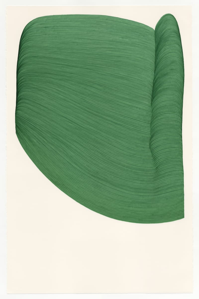 Lines 138 by Dana Piazza 