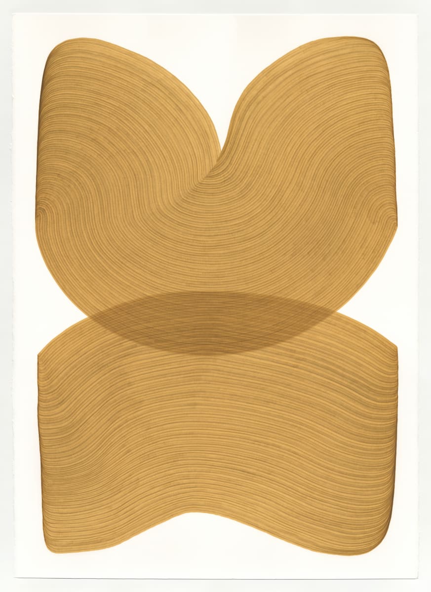 Lines 150 by Dana Piazza 