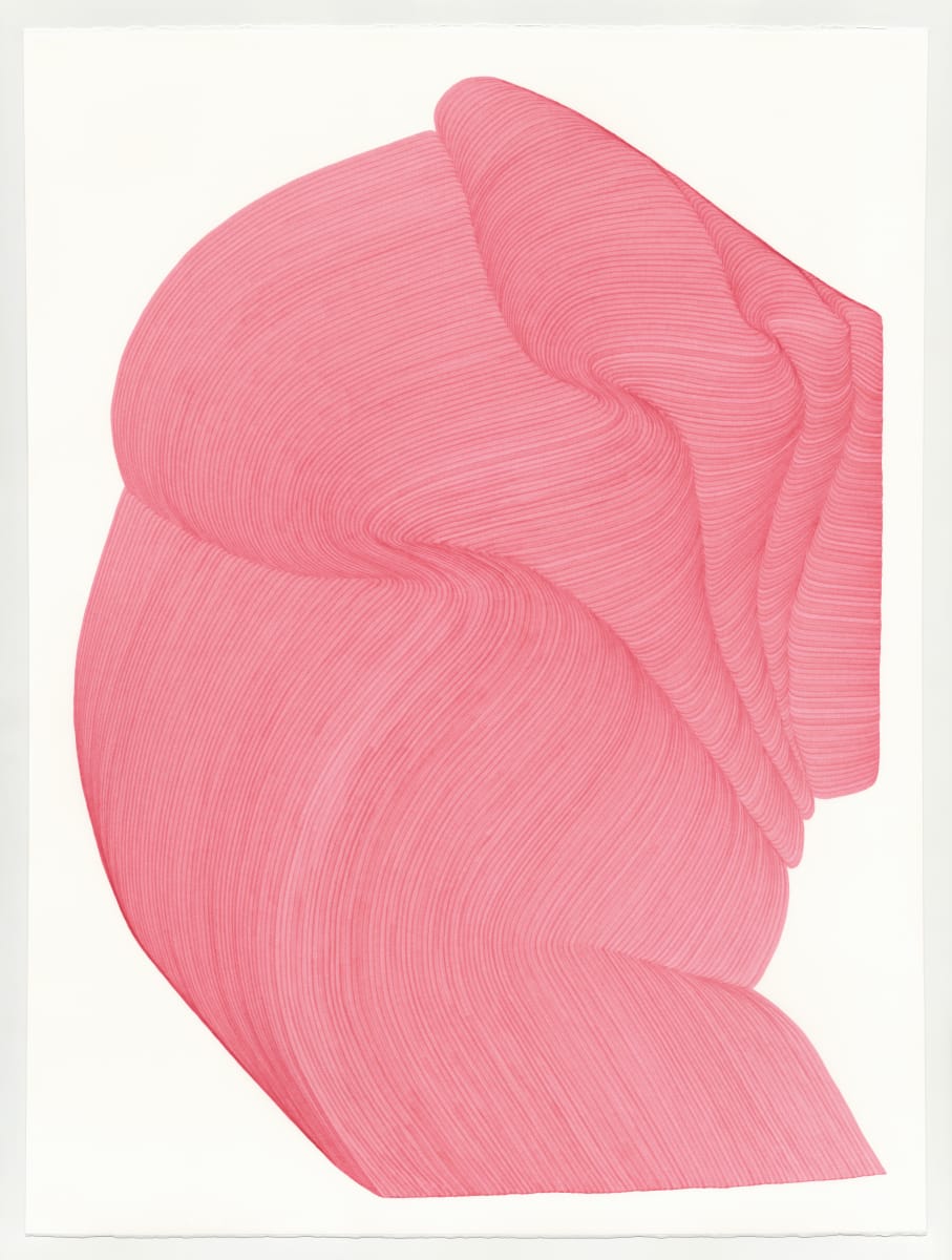 Lines 223 by Dana Piazza 