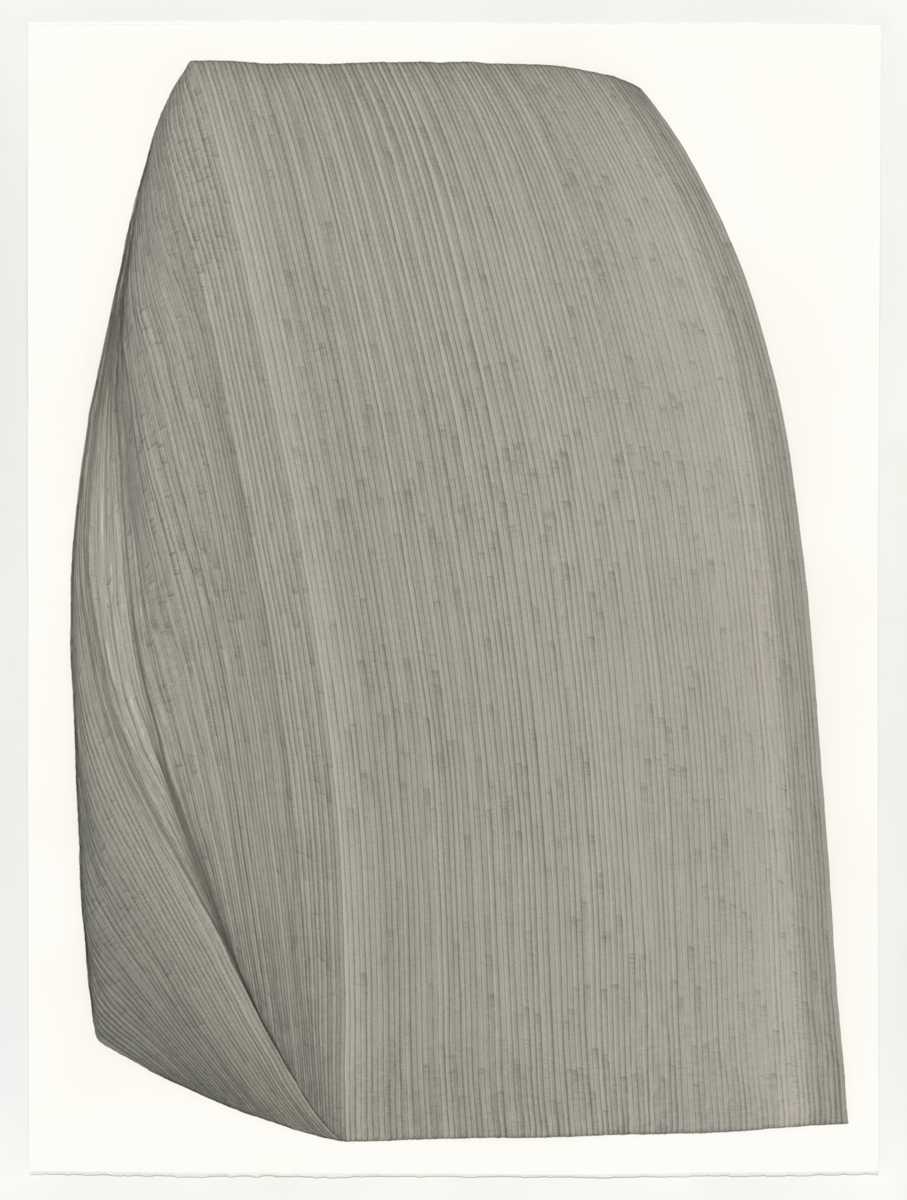 Lines 233 by Dana Piazza 