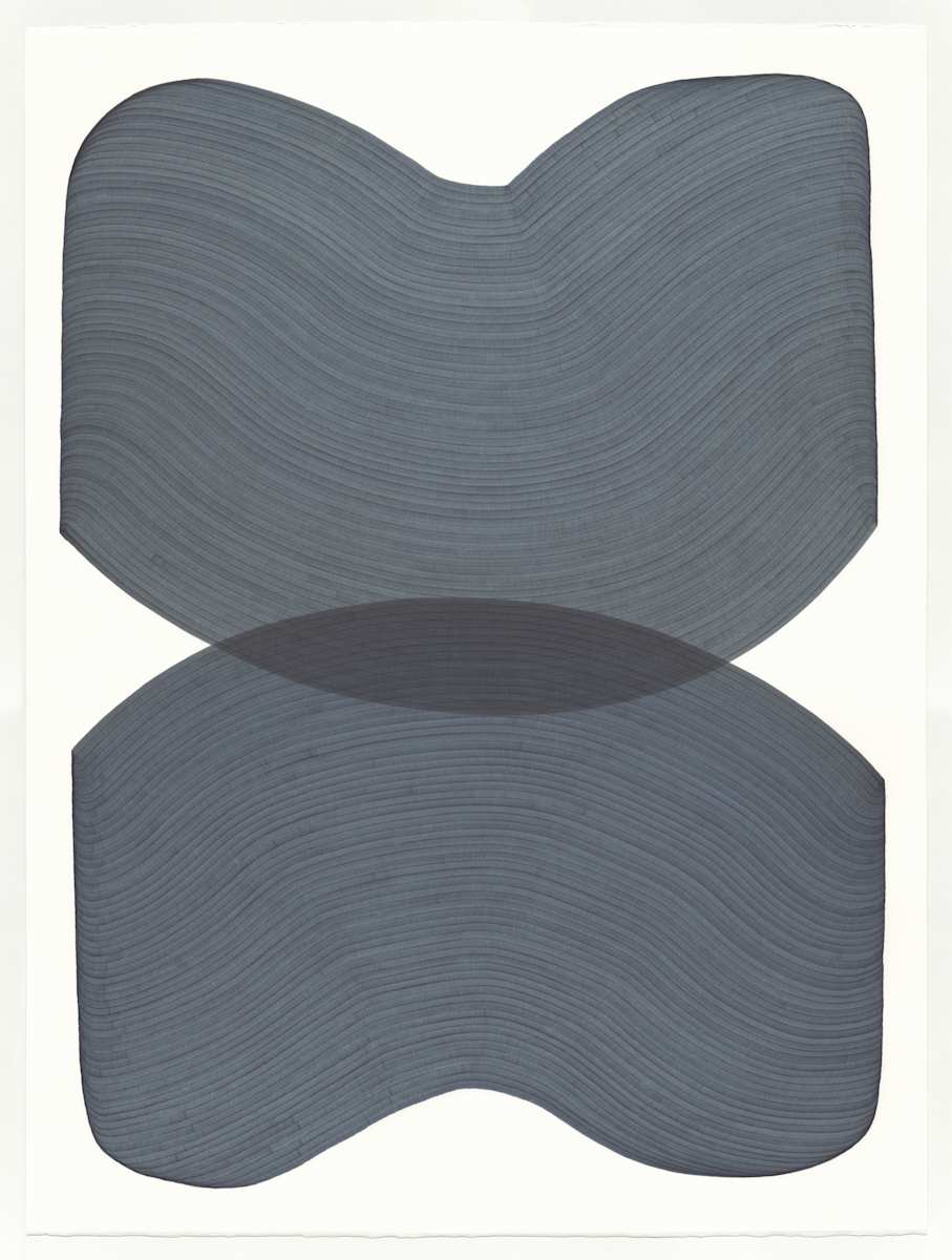 Lines 291 by Dana Piazza 