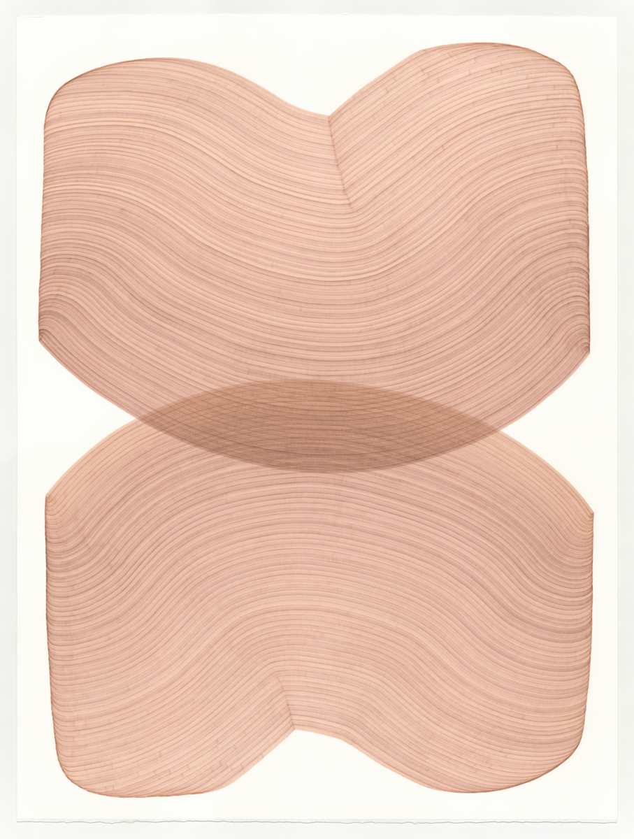 Lines 294 by Dana Piazza 