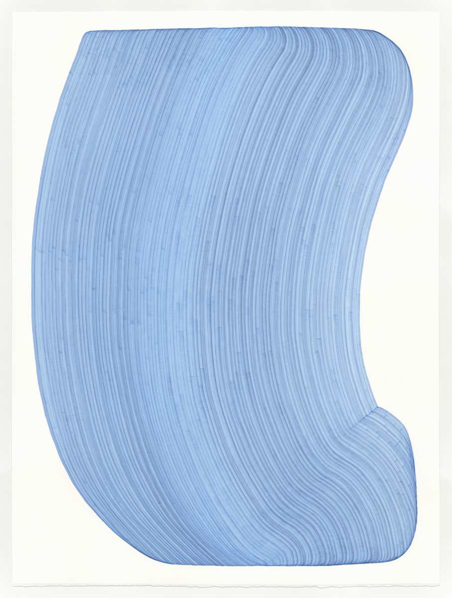 Lines 297 by Dana Piazza 
