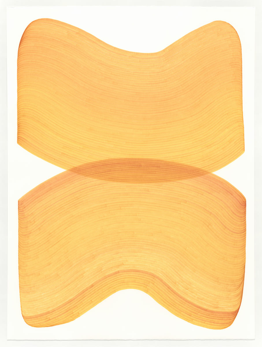 Lines 305 by Dana Piazza 