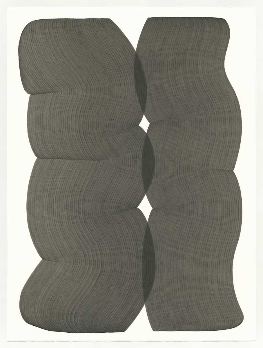 Lines 313 by Dana Piazza 