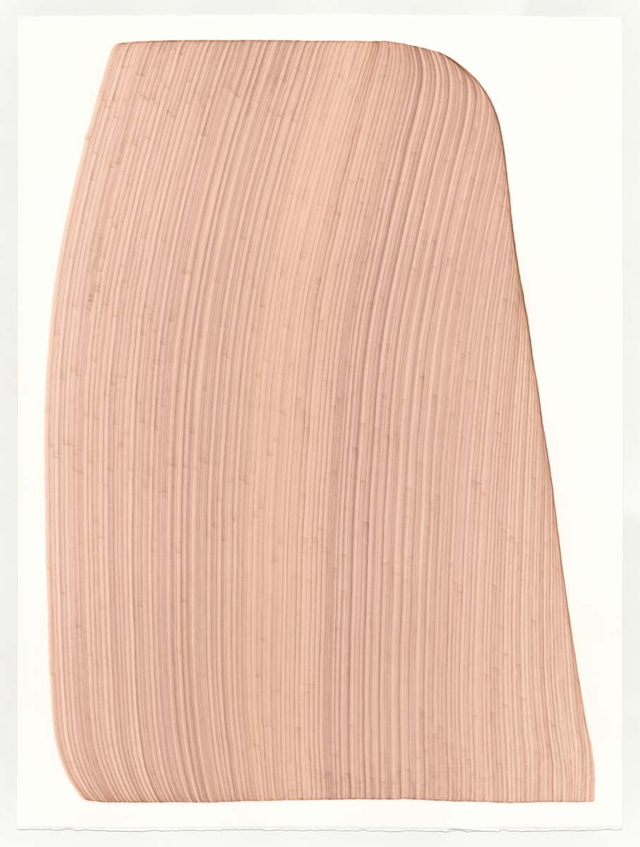 Lines 314 by Dana Piazza 