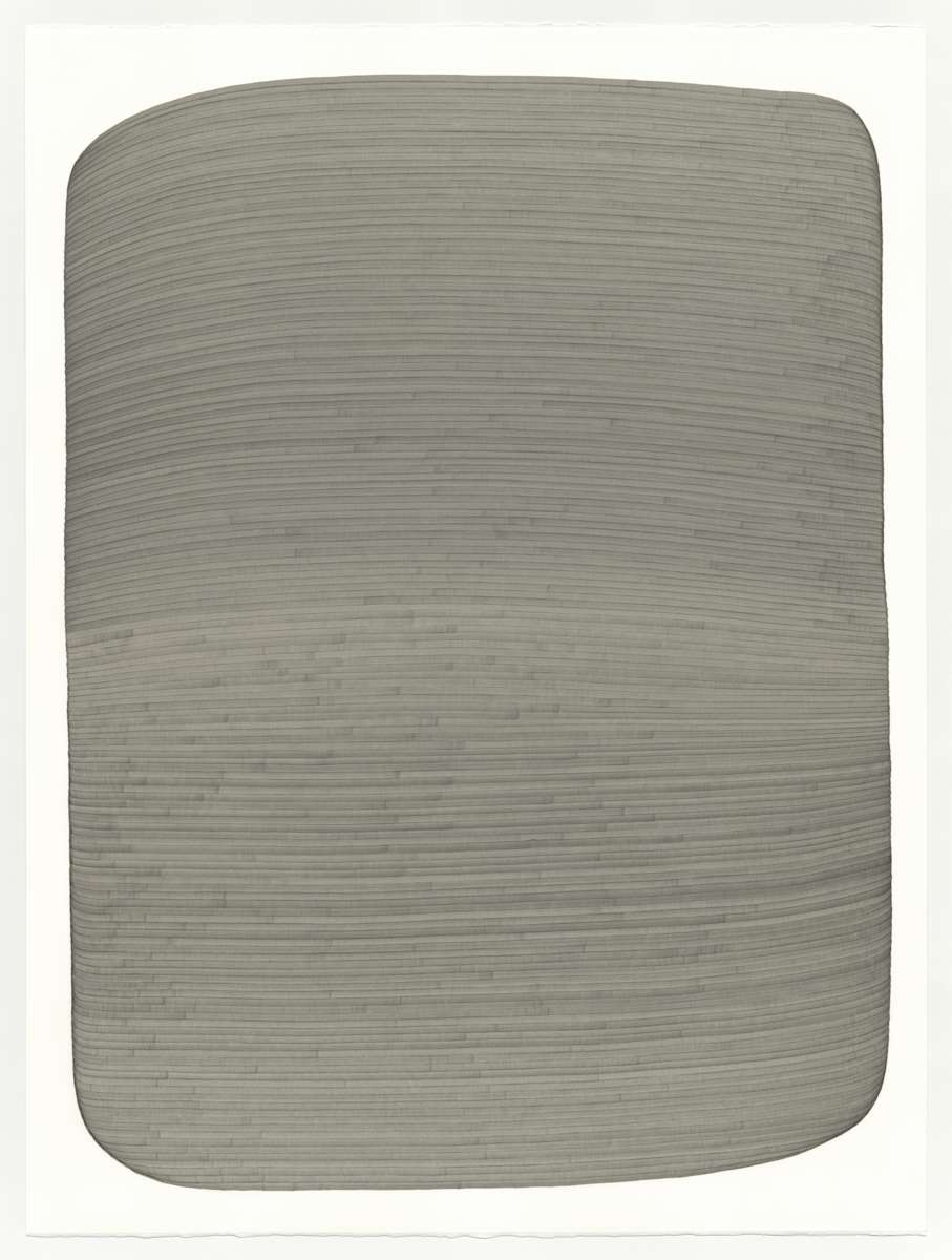 Lines 316 by Dana Piazza 