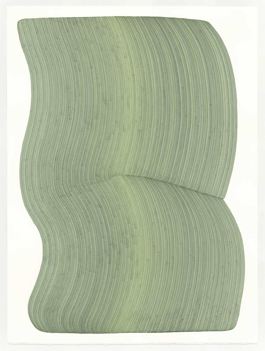 Lines 317 by Dana Piazza 