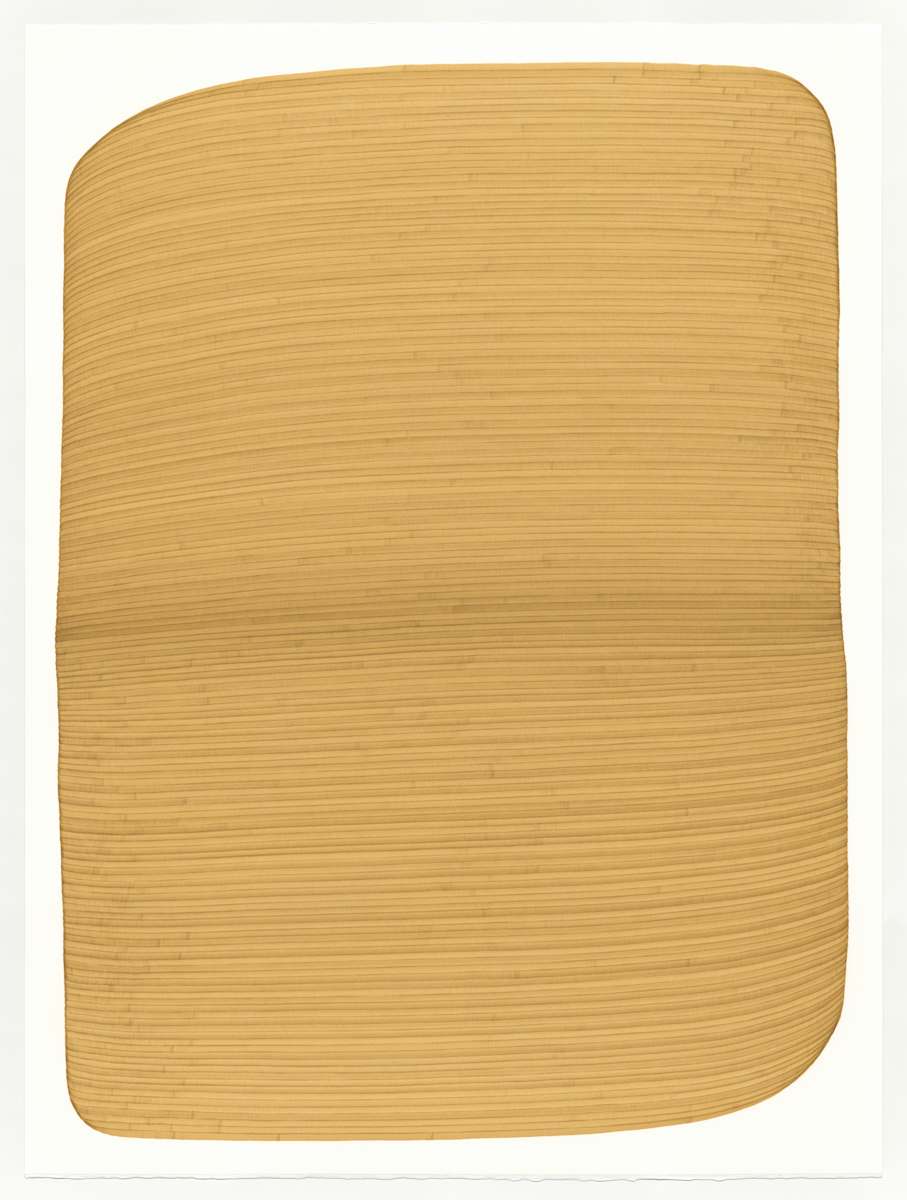 Lines 318 by Dana Piazza 