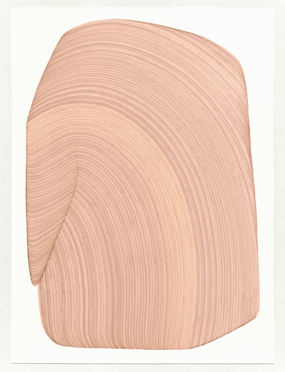 Lines 323 by Dana Piazza 