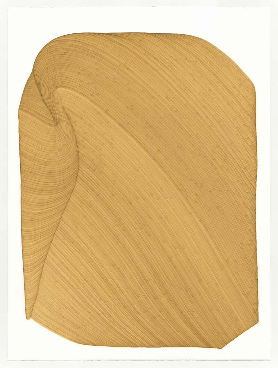 Lines 325 by Dana Piazza 