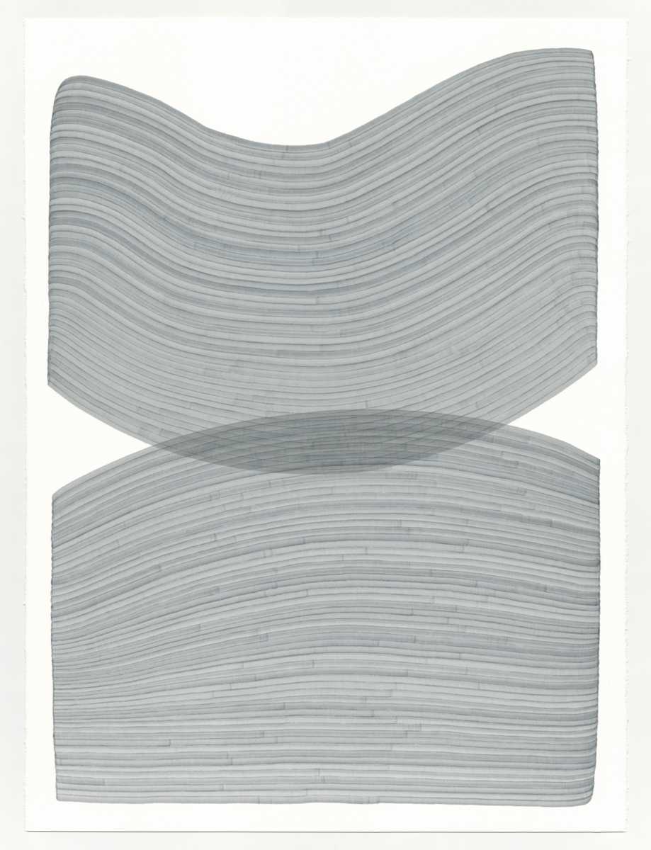 Lines 335 by Dana Piazza 