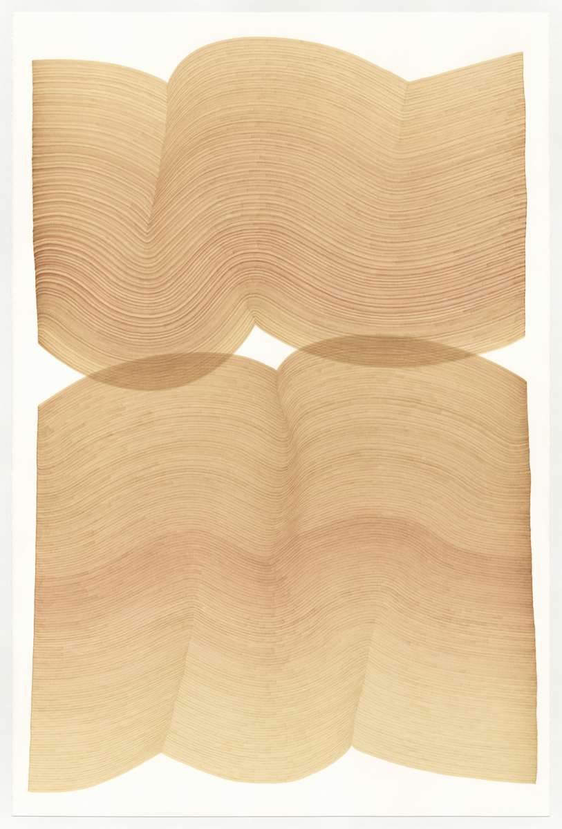 Lines 336 by Dana Piazza, Image 1.