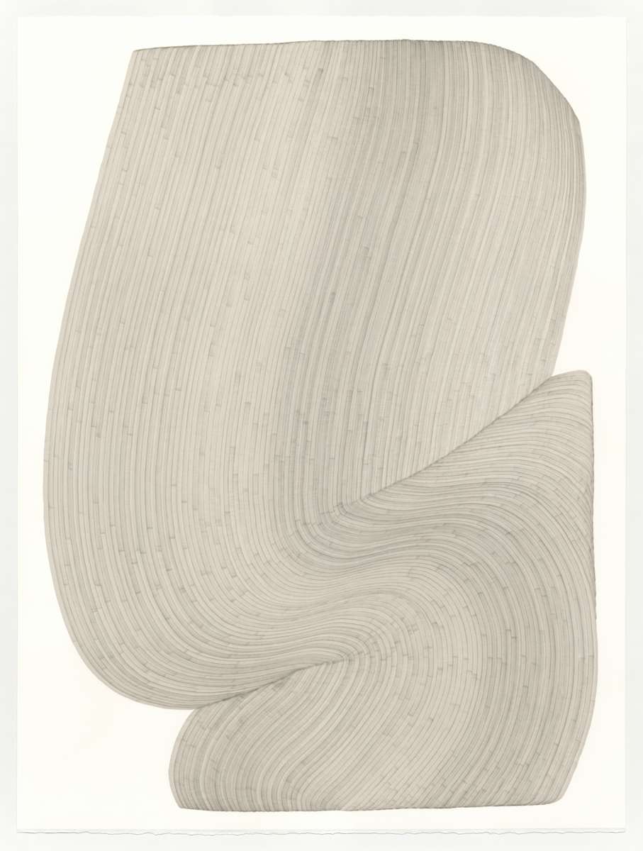 Lines 337 by Dana Piazza, Image 2.