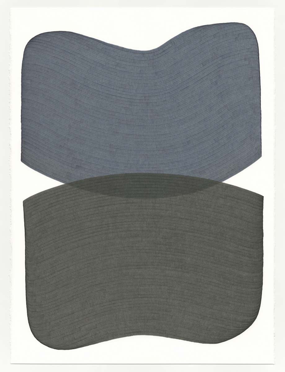 Lines 338 by Dana Piazza, Image 1.