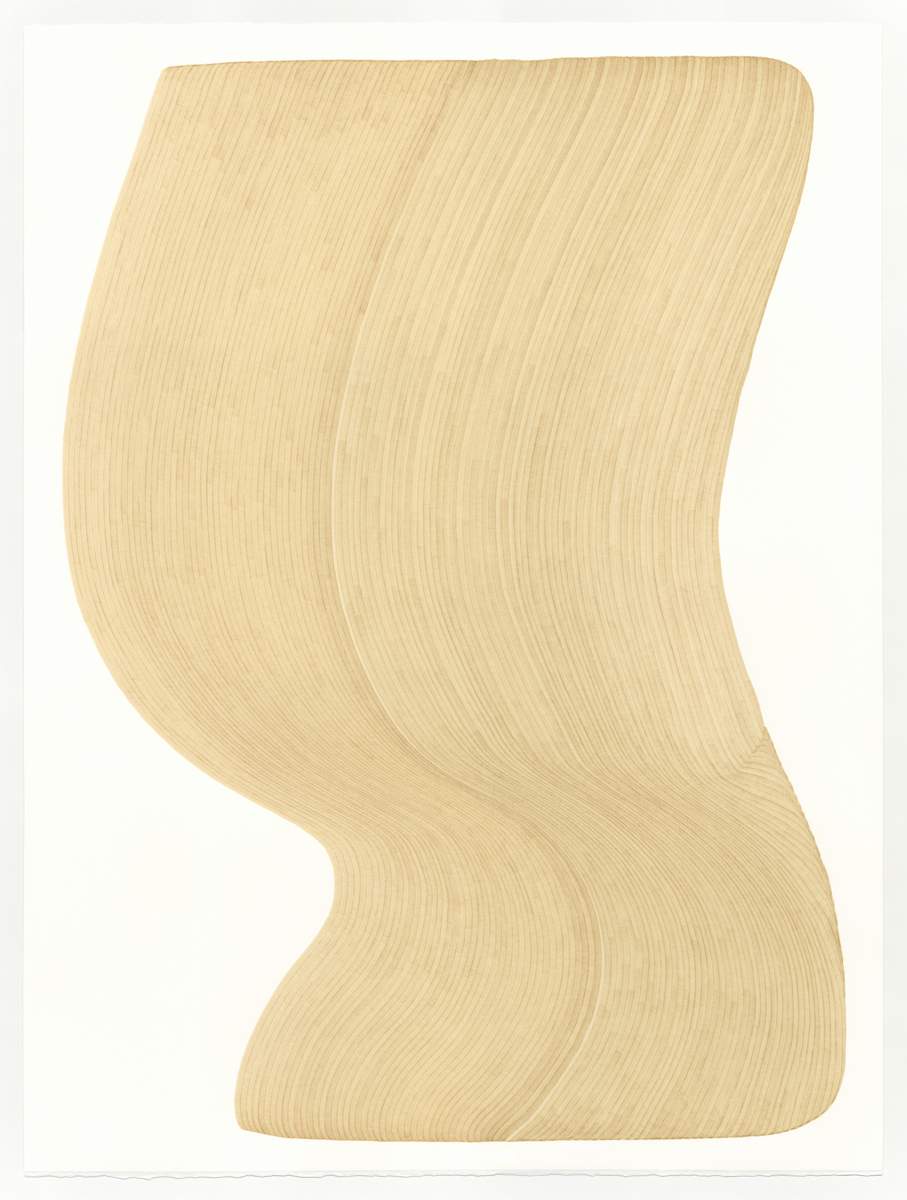 Lines 339 by Dana Piazza, Image 2.