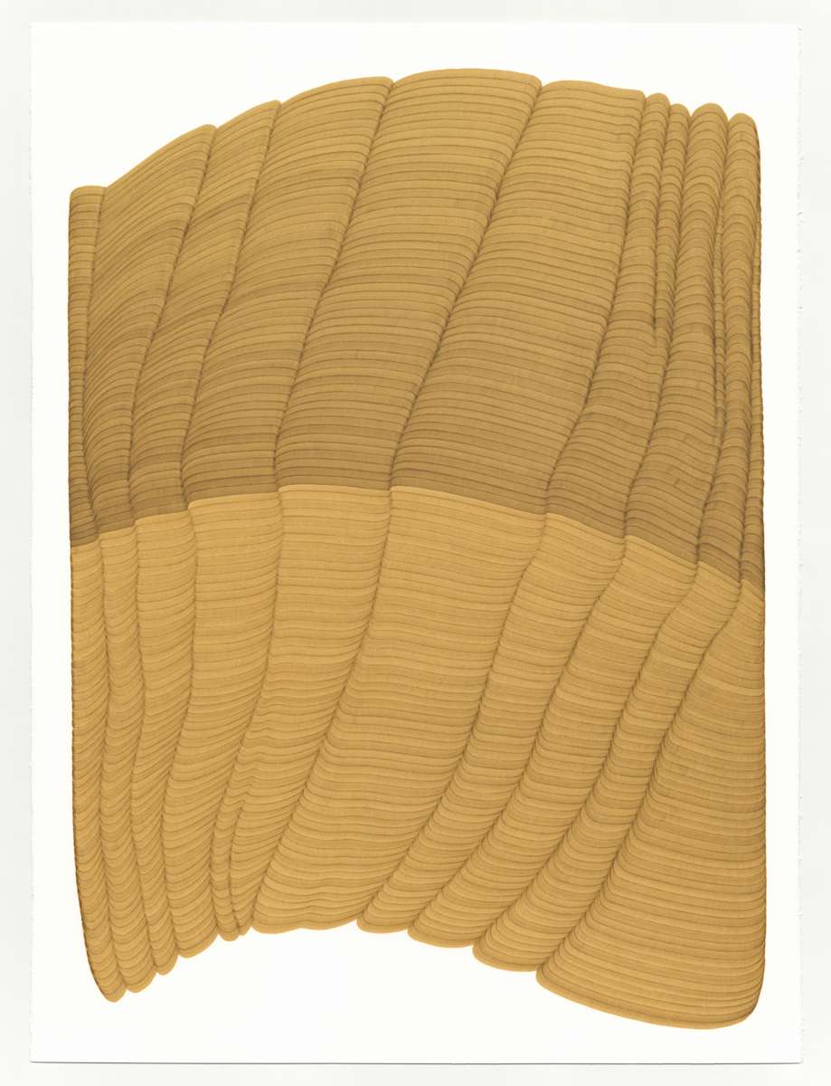 Lines 343 by Dana Piazza, Image 2.
