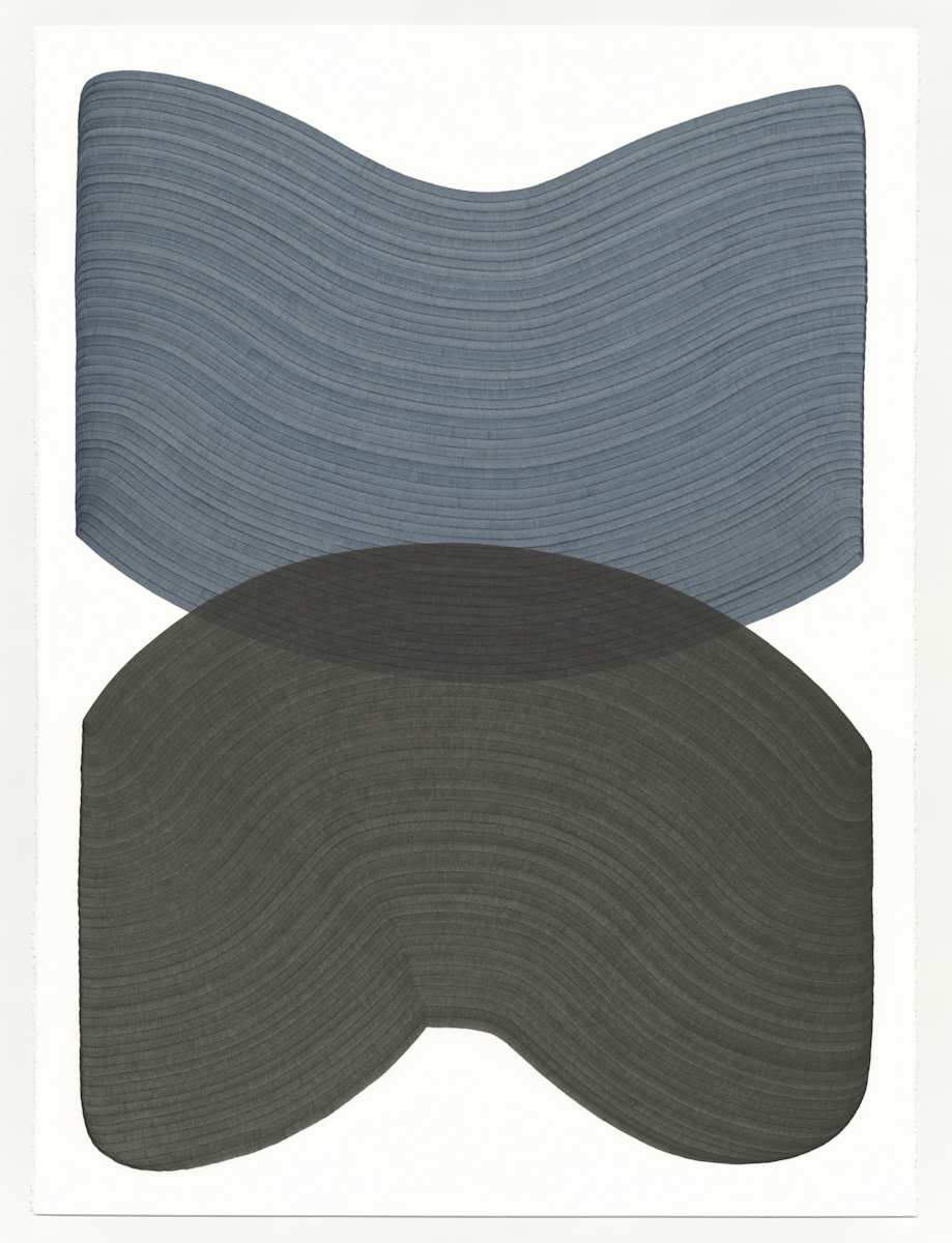 Lines 351 by Dana Piazza, Image 1.