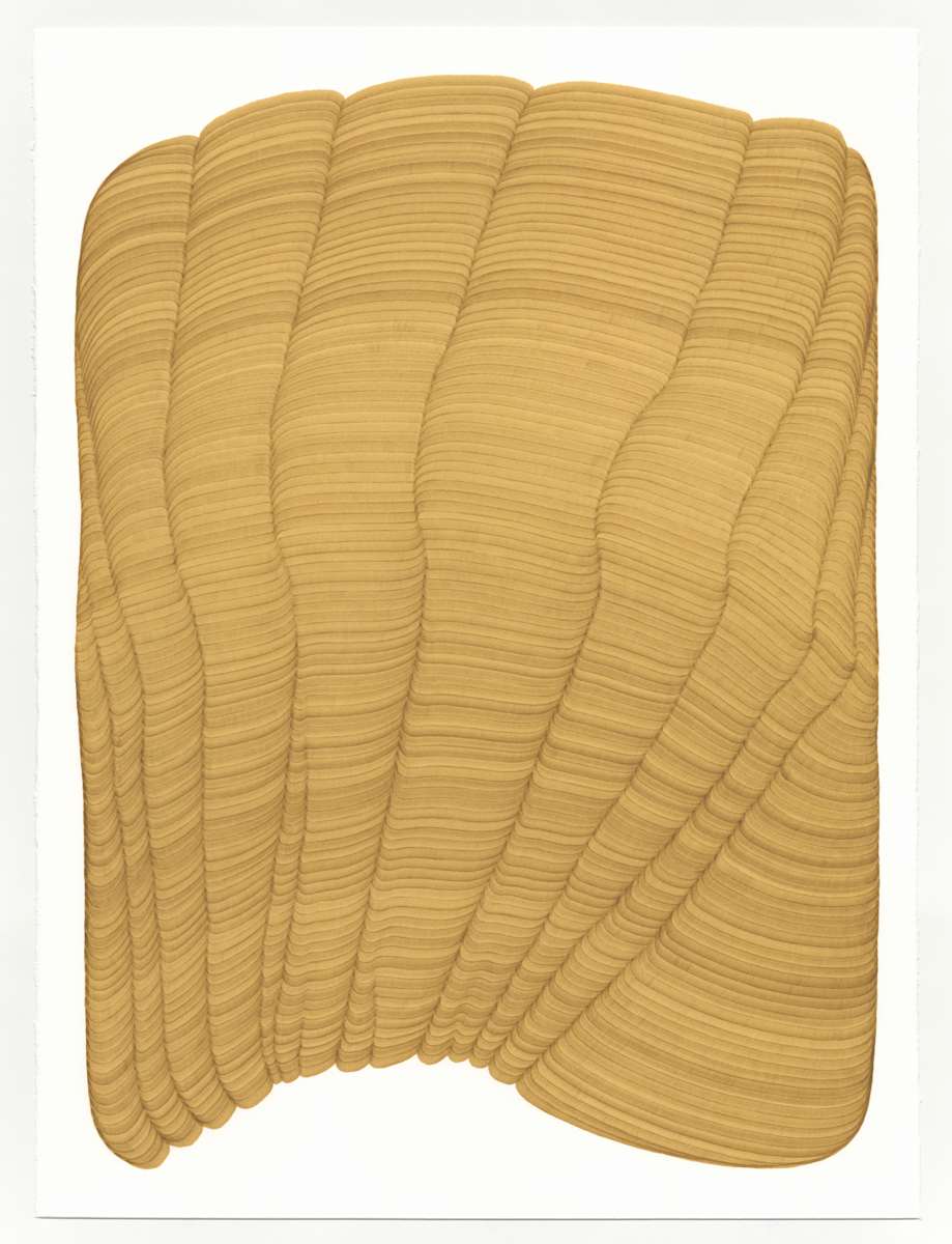 Lines 365 by Dana Piazza, Image 1.