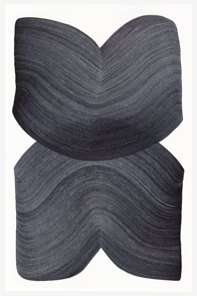 Lines 78 by Dana Piazza 