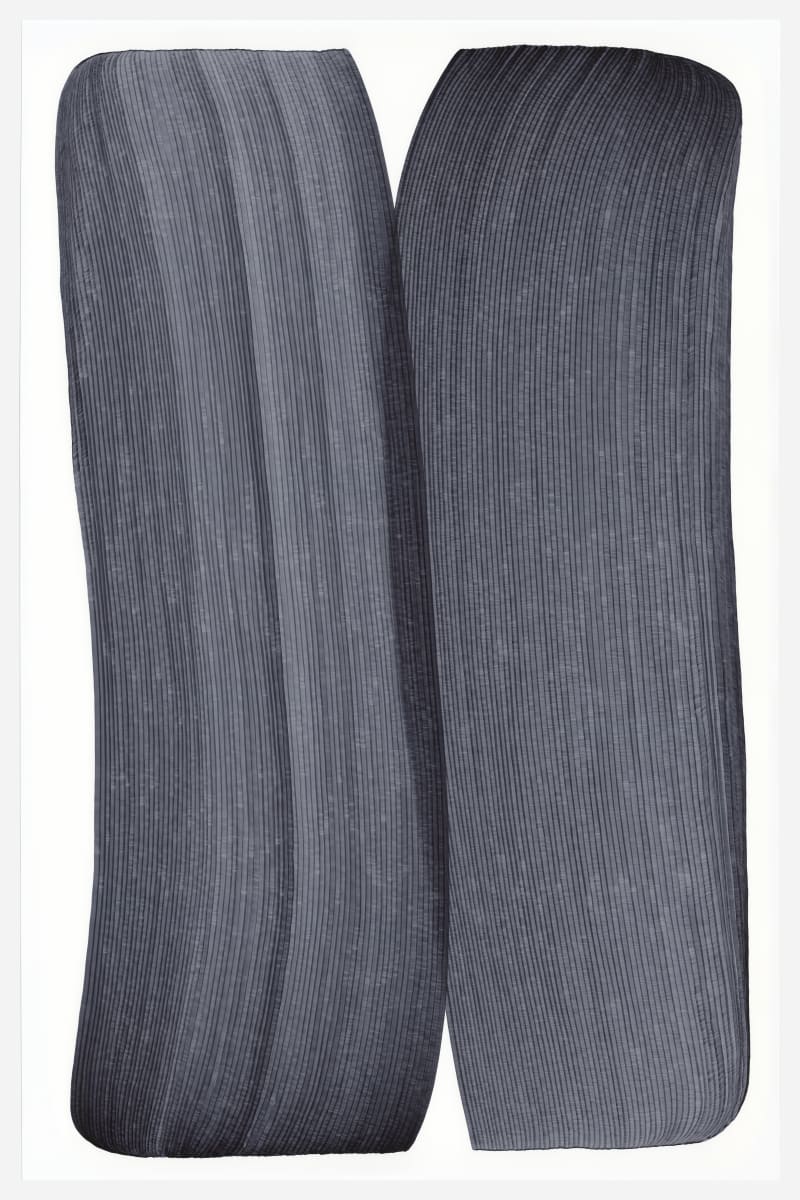 Lines 95 by Dana Piazza 