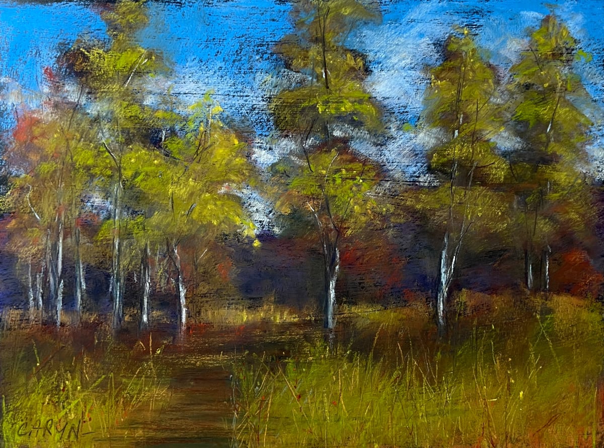 Abature by Caryn Stromberg 