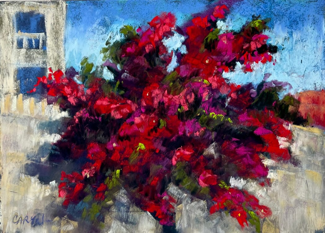 Bougainvillea by Caryn Stromberg 