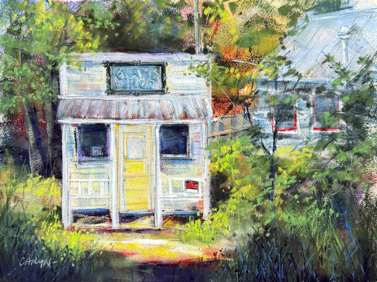Frame Shop by Caryn Stromberg 