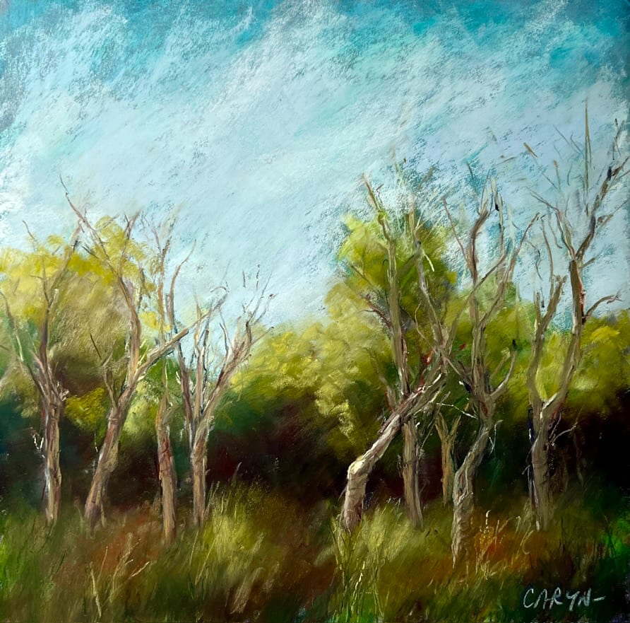 Gaggle by Caryn Stromberg, Image 1.
