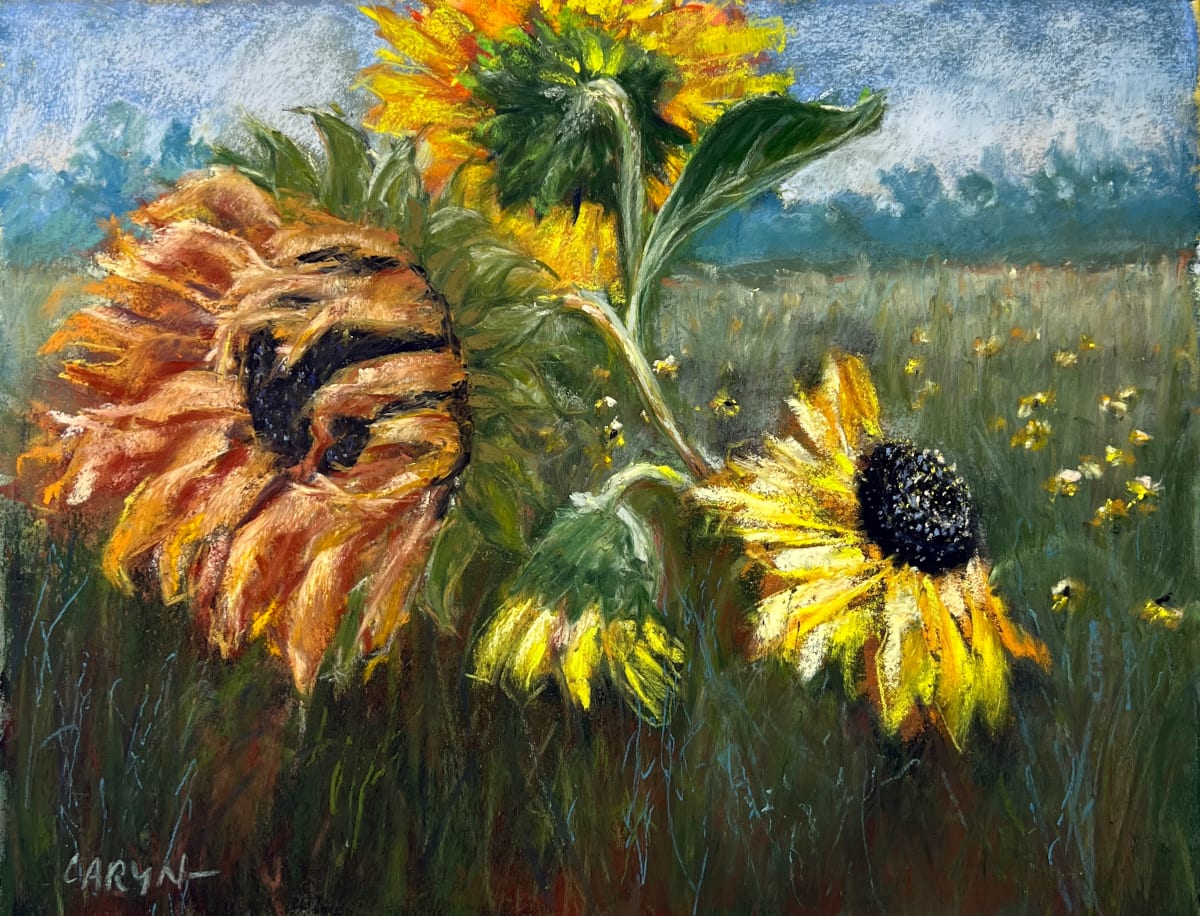 Helianthus by Caryn Stromberg 