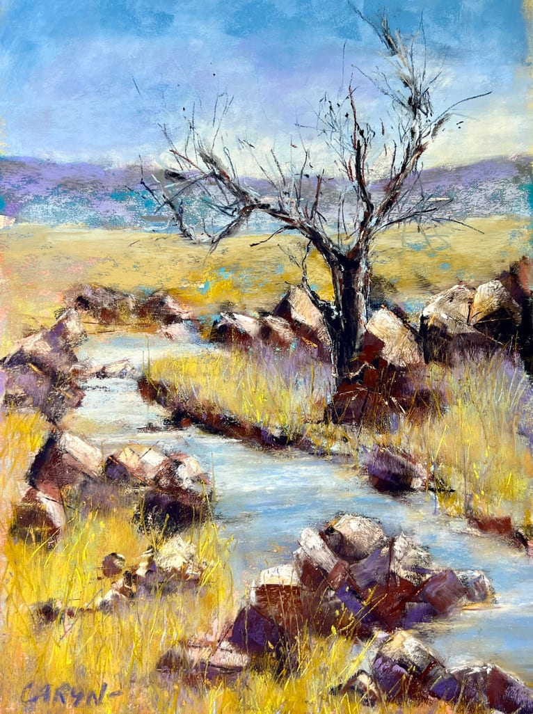 Iron Canyon 2 by Caryn Stromberg 