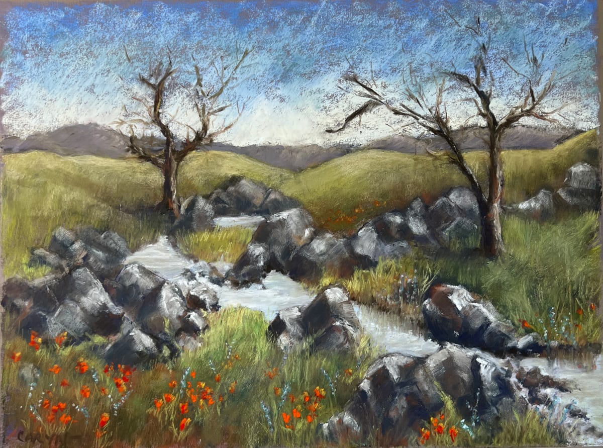Iron Canyon by Caryn Stromberg 