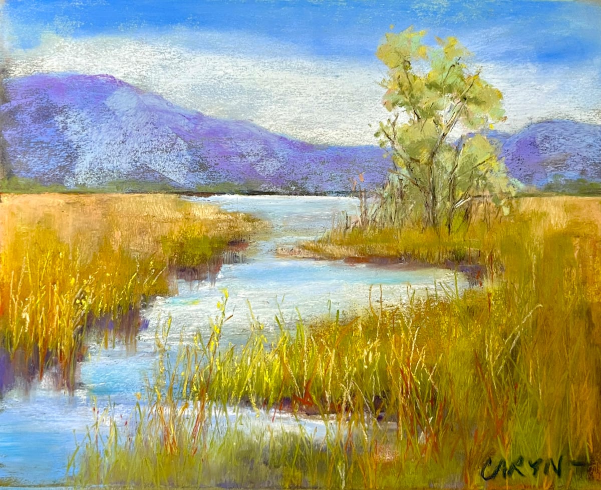 Marshscape by Caryn Stromberg, Image 1.