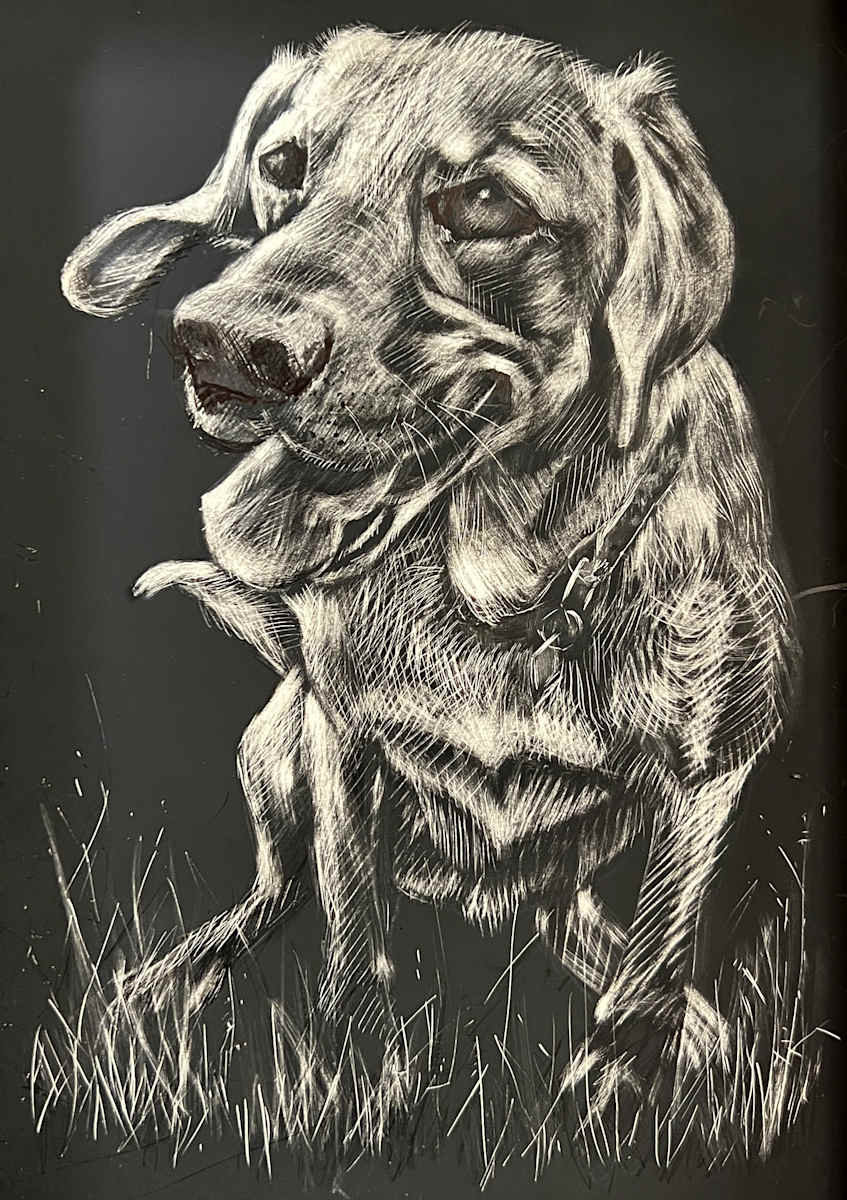 Missy 4 by Caryn Stromberg, Image 1.