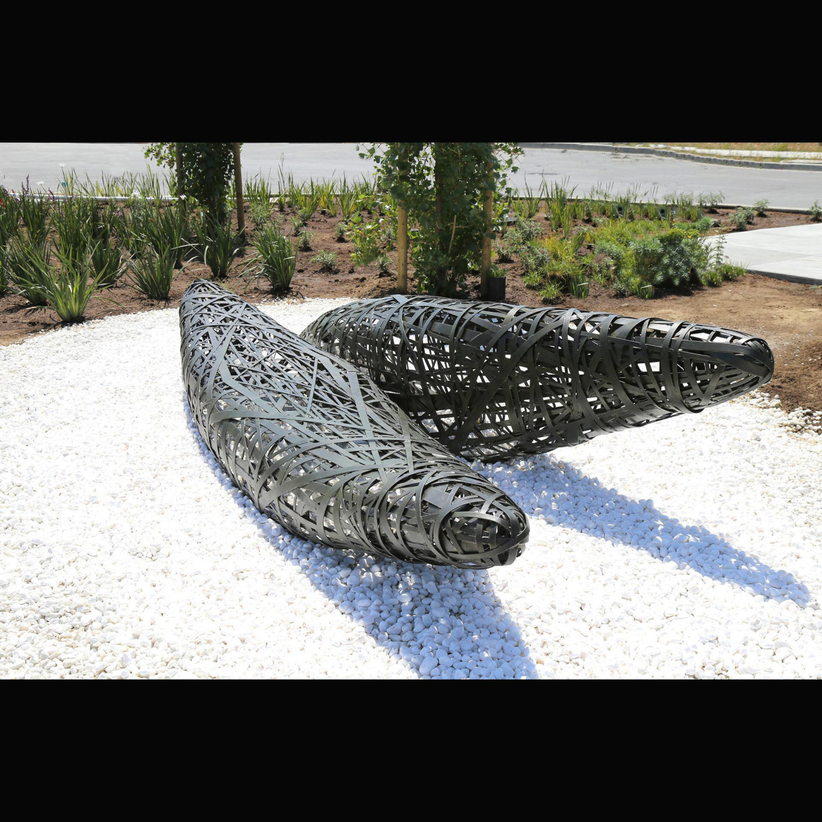 Hale Konon by Jessica Kay Bodner 