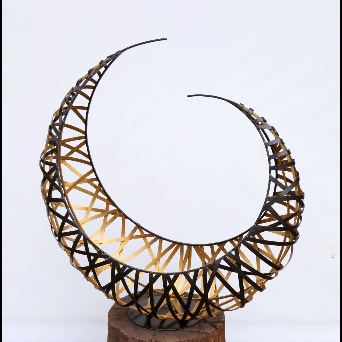 Bighorn by Jessica Kay Bodner 