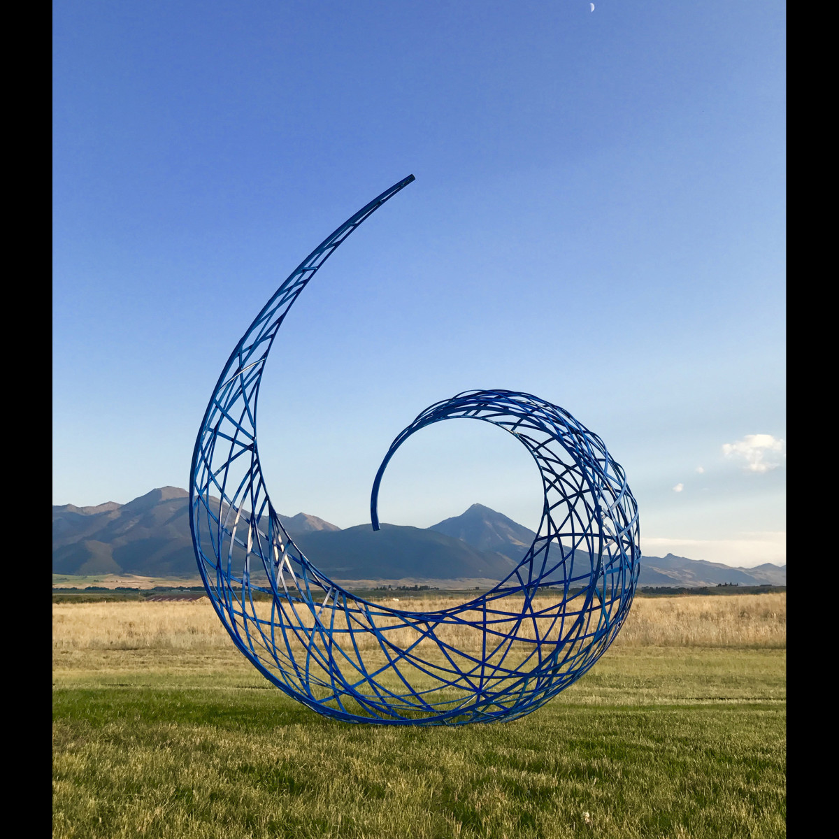 Nautilus by Jessica Kay Bodner 